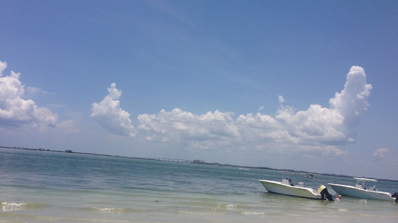 Photo of Others in Pelican