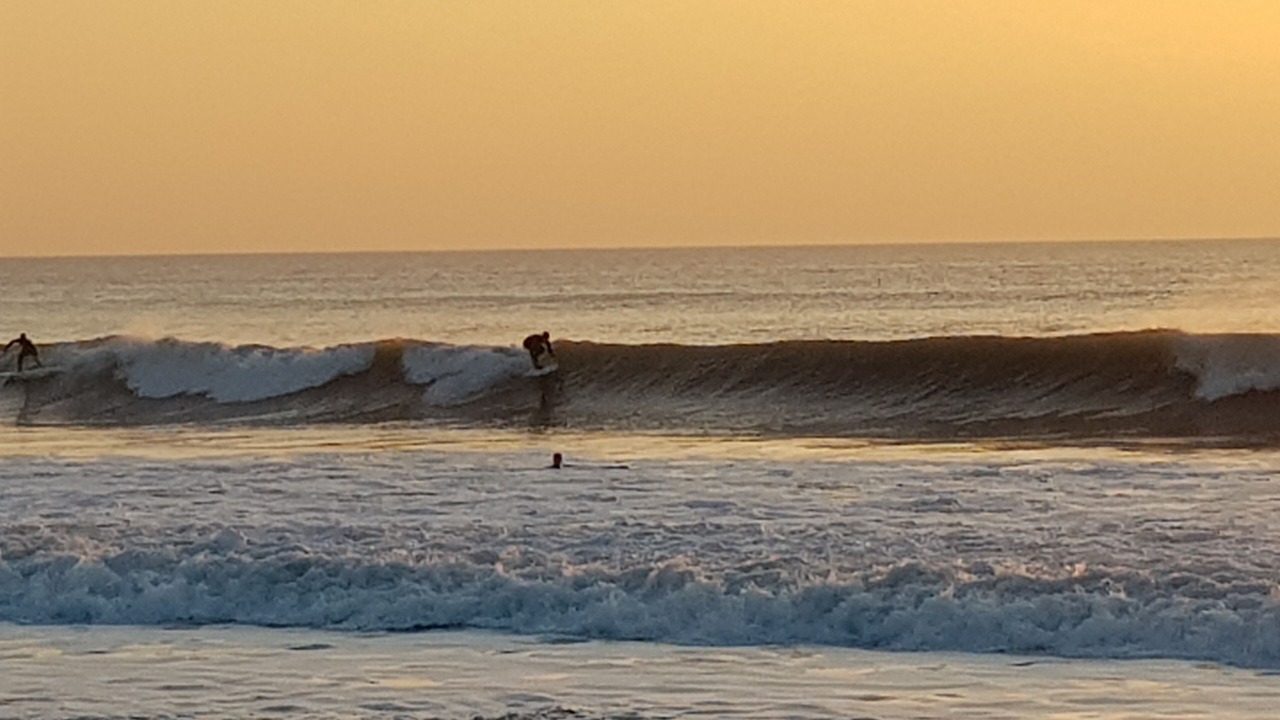 Photo of Others in Widemouth Bay