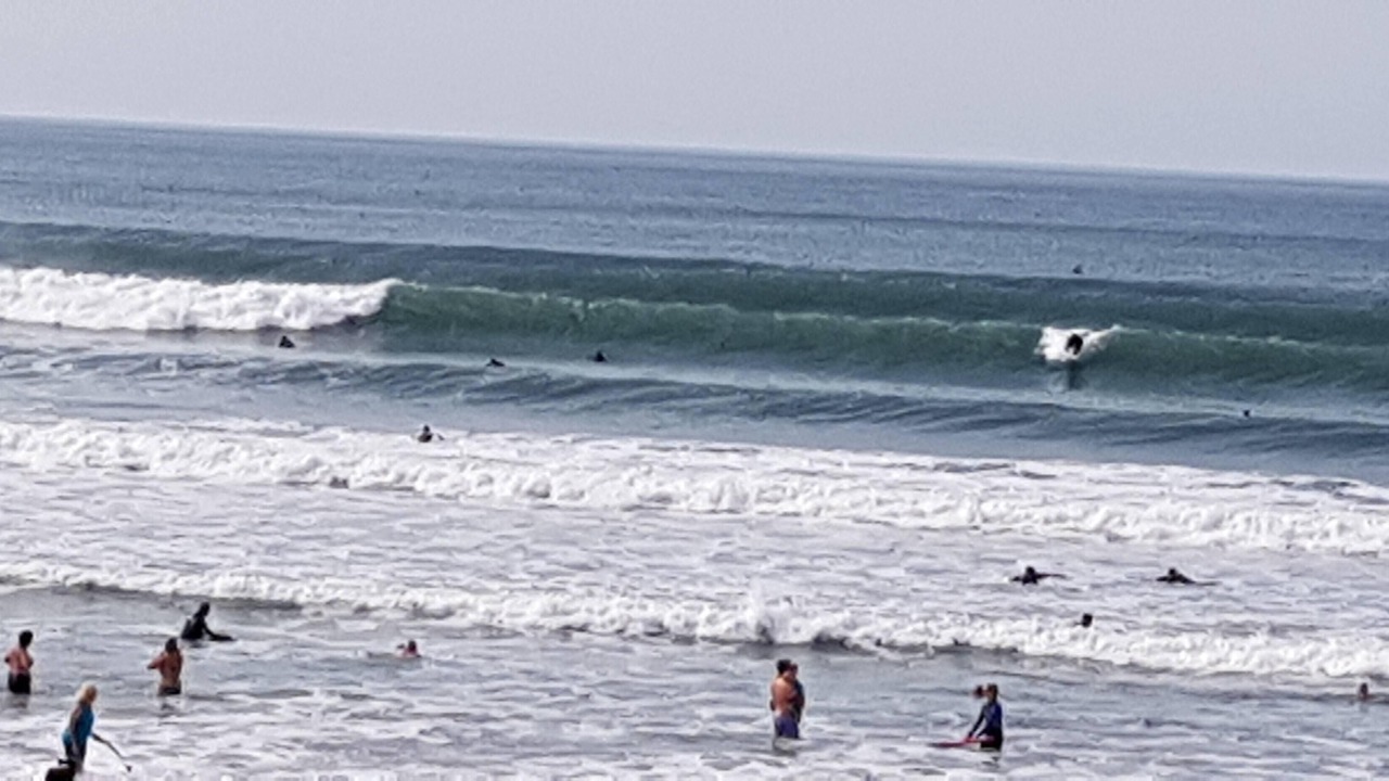 Photo of Others in Widemouth Bay
