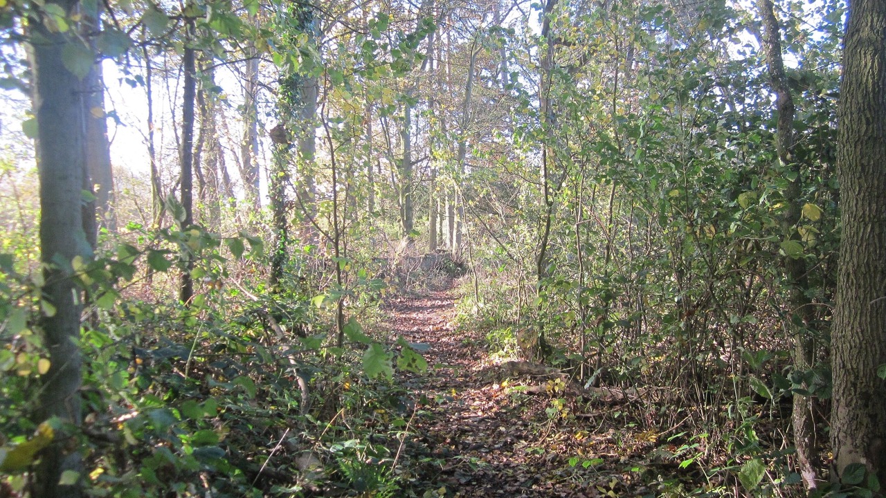 Photo of Others in Pocklington