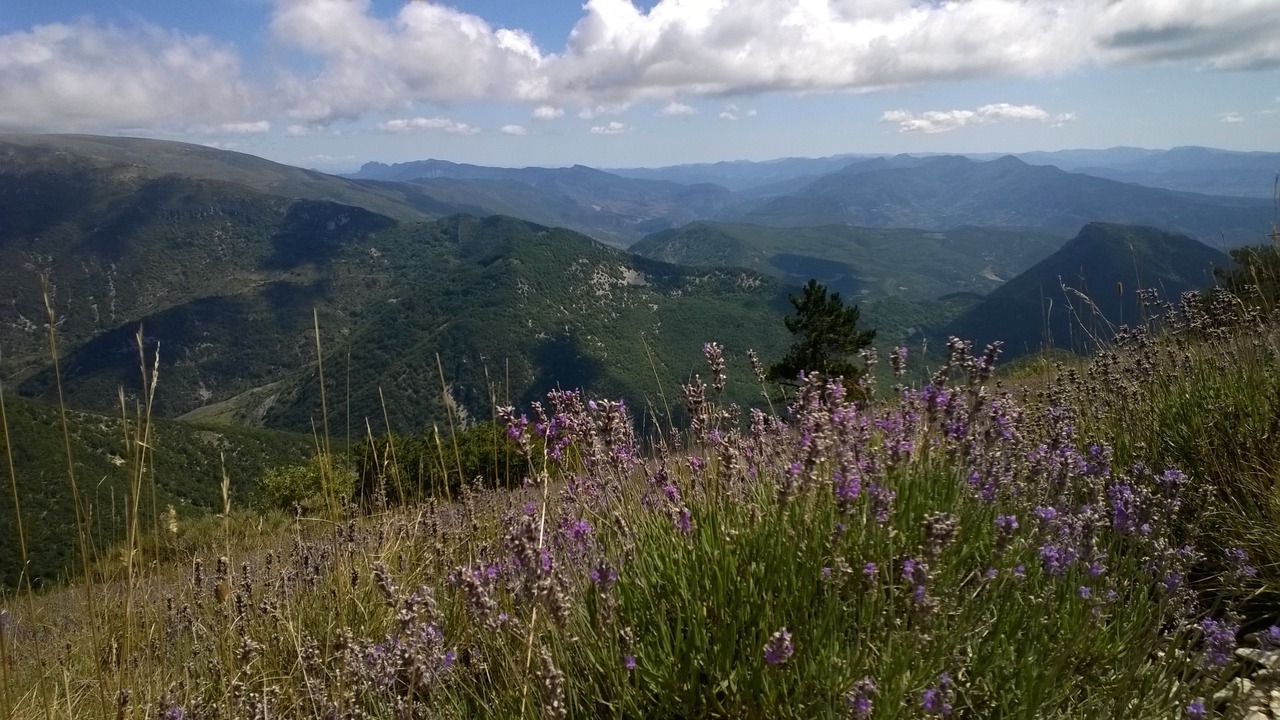 Photo of Outdoor in Vinsobres