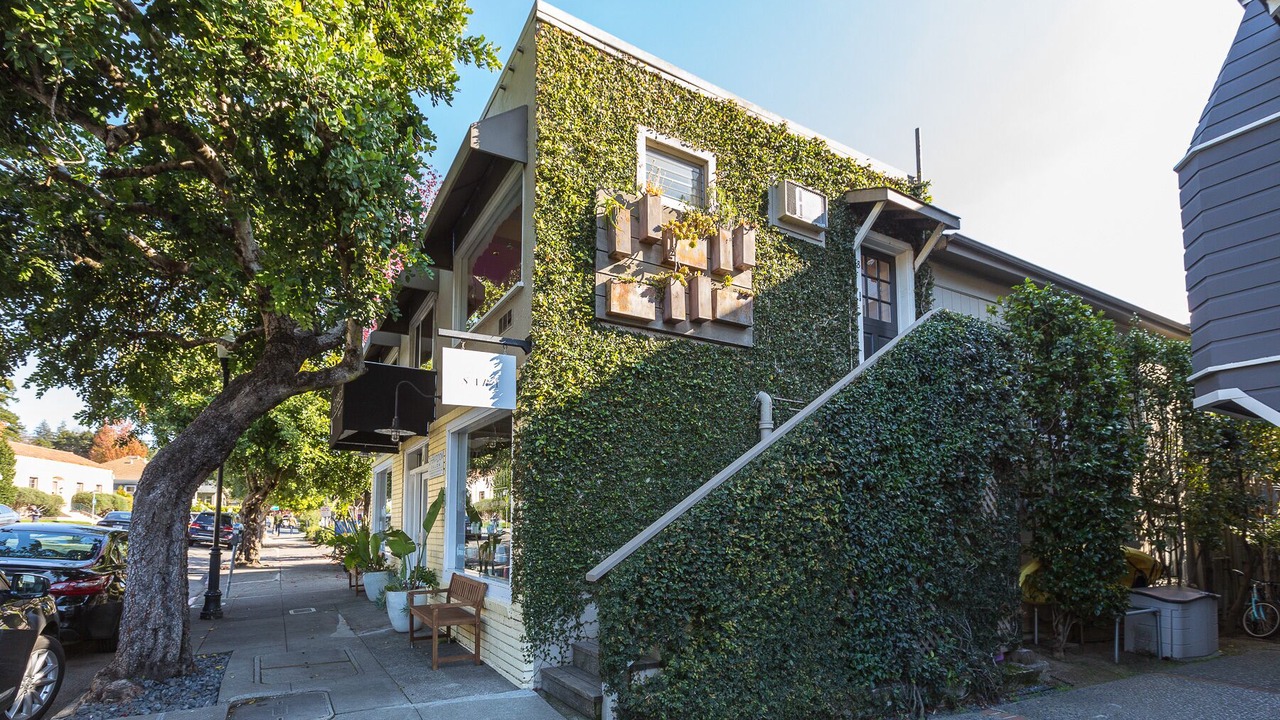 Photo of Others in Mill Valley