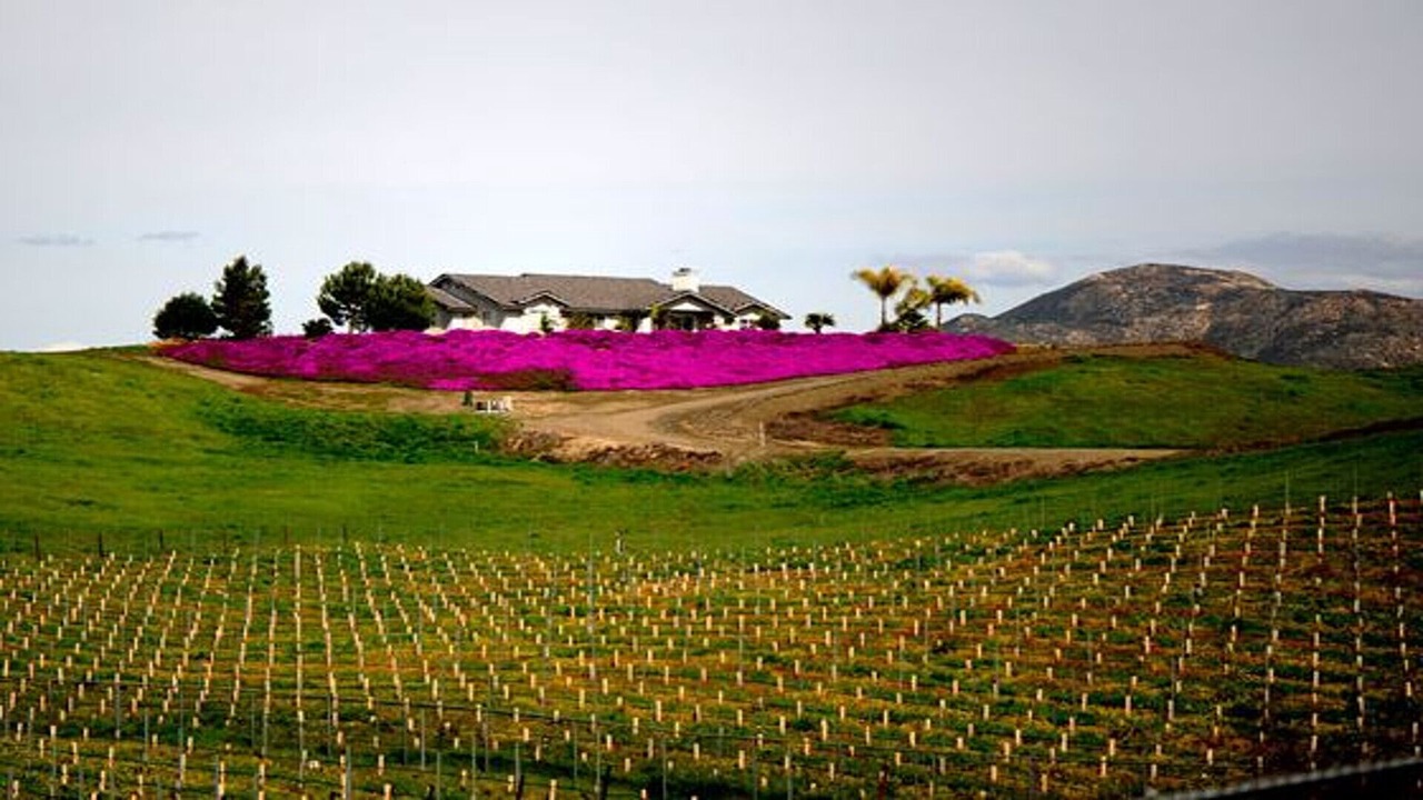 Photo of Others in Menifee