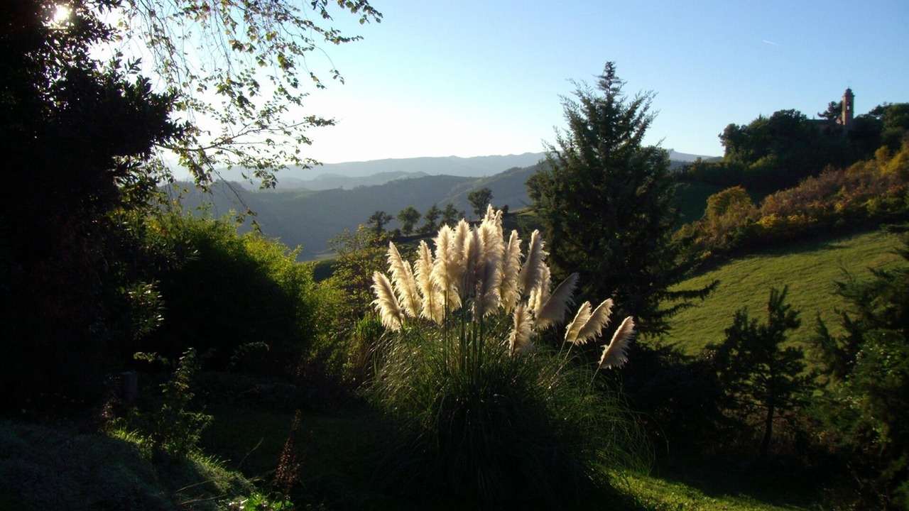Photo of Outdoor in Piandimeleto