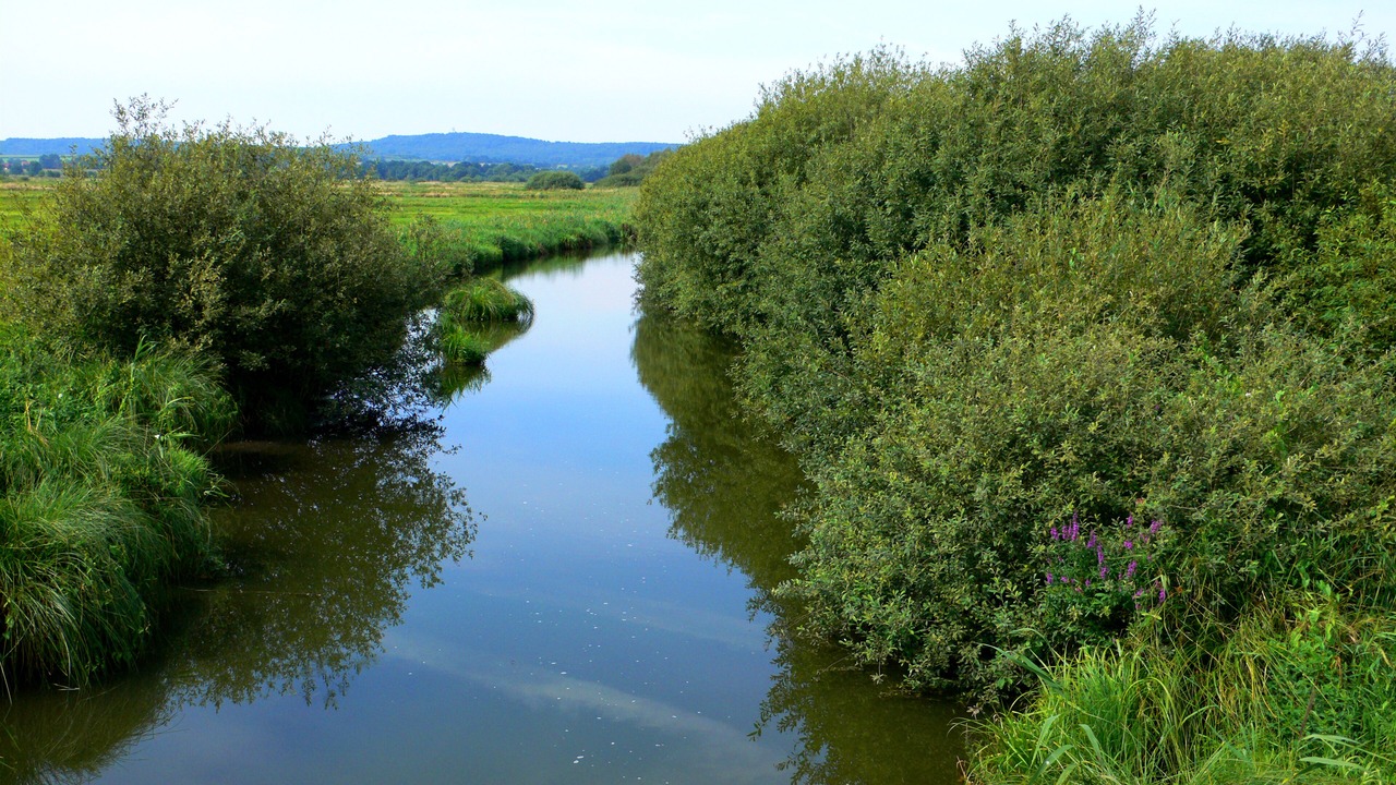 Photo of Outdoor in Rehburg