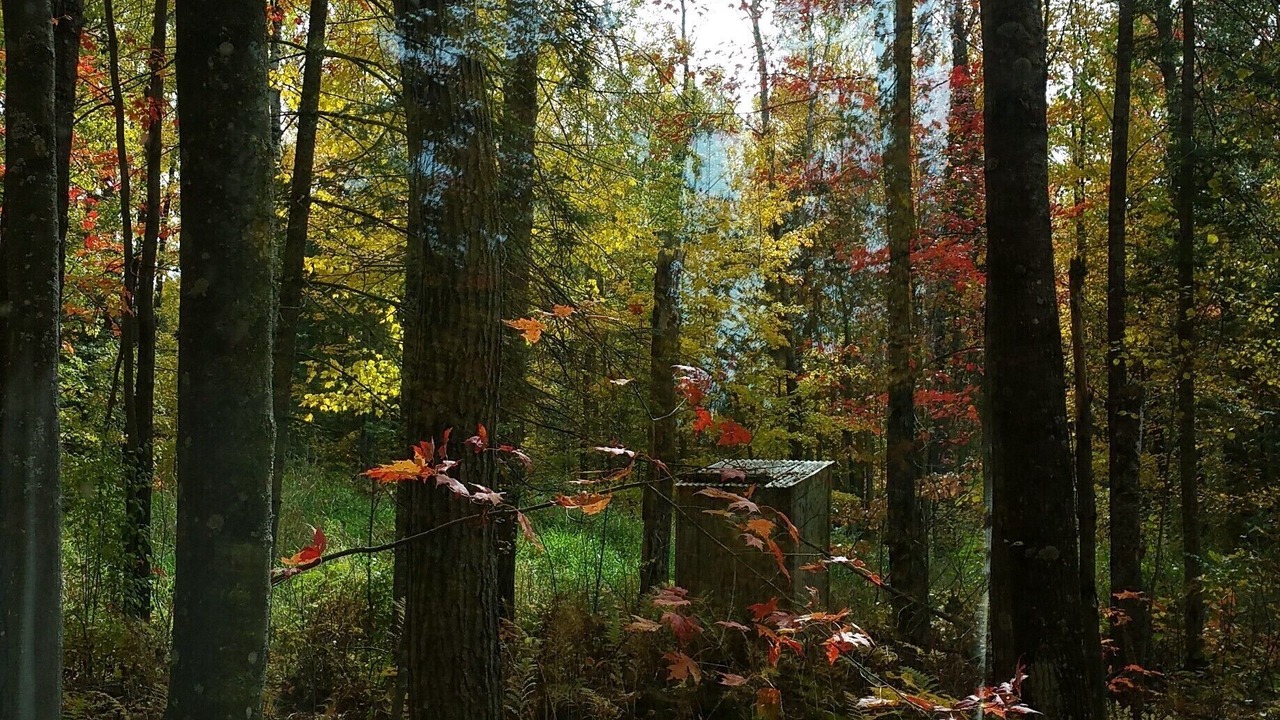 Photo of Outdoor in Finlayson