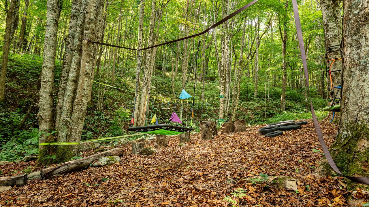 Photo of Others in Waynesville