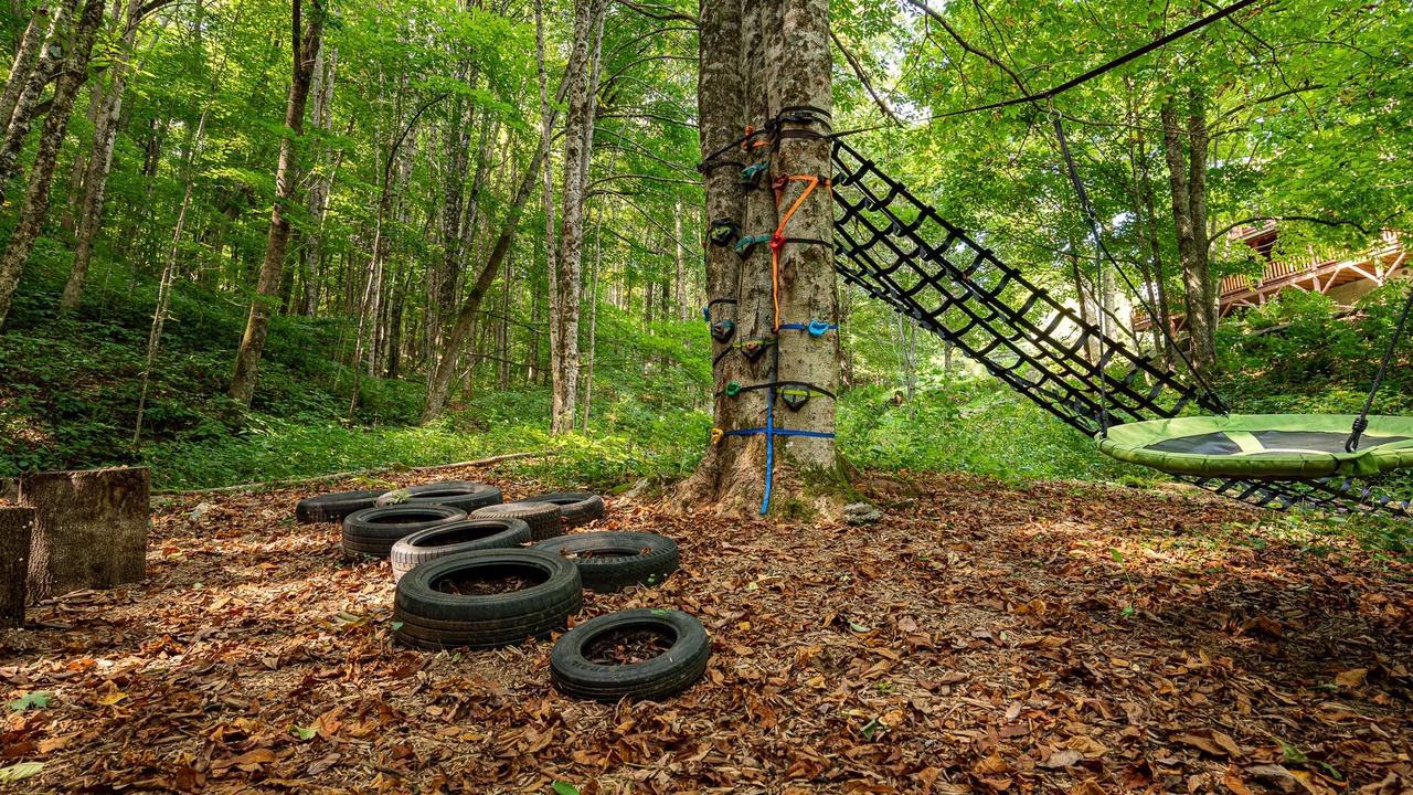 Photo of Others in Waynesville