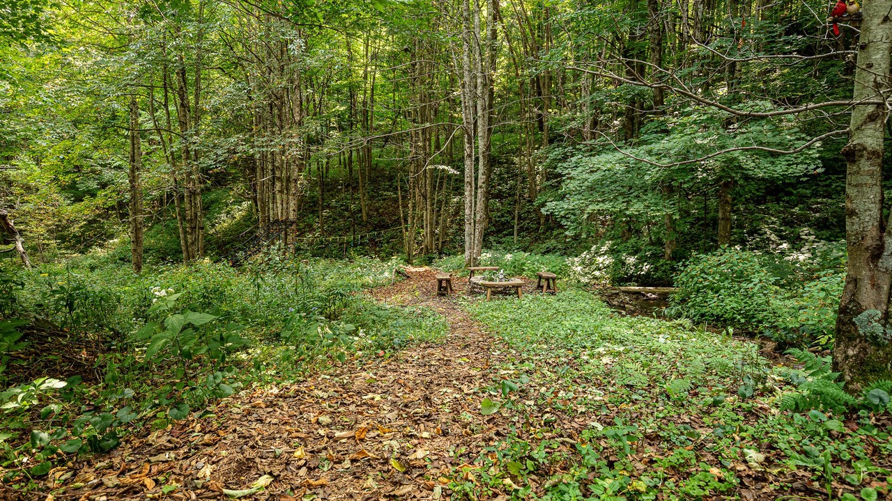 Photo of Others in Waynesville