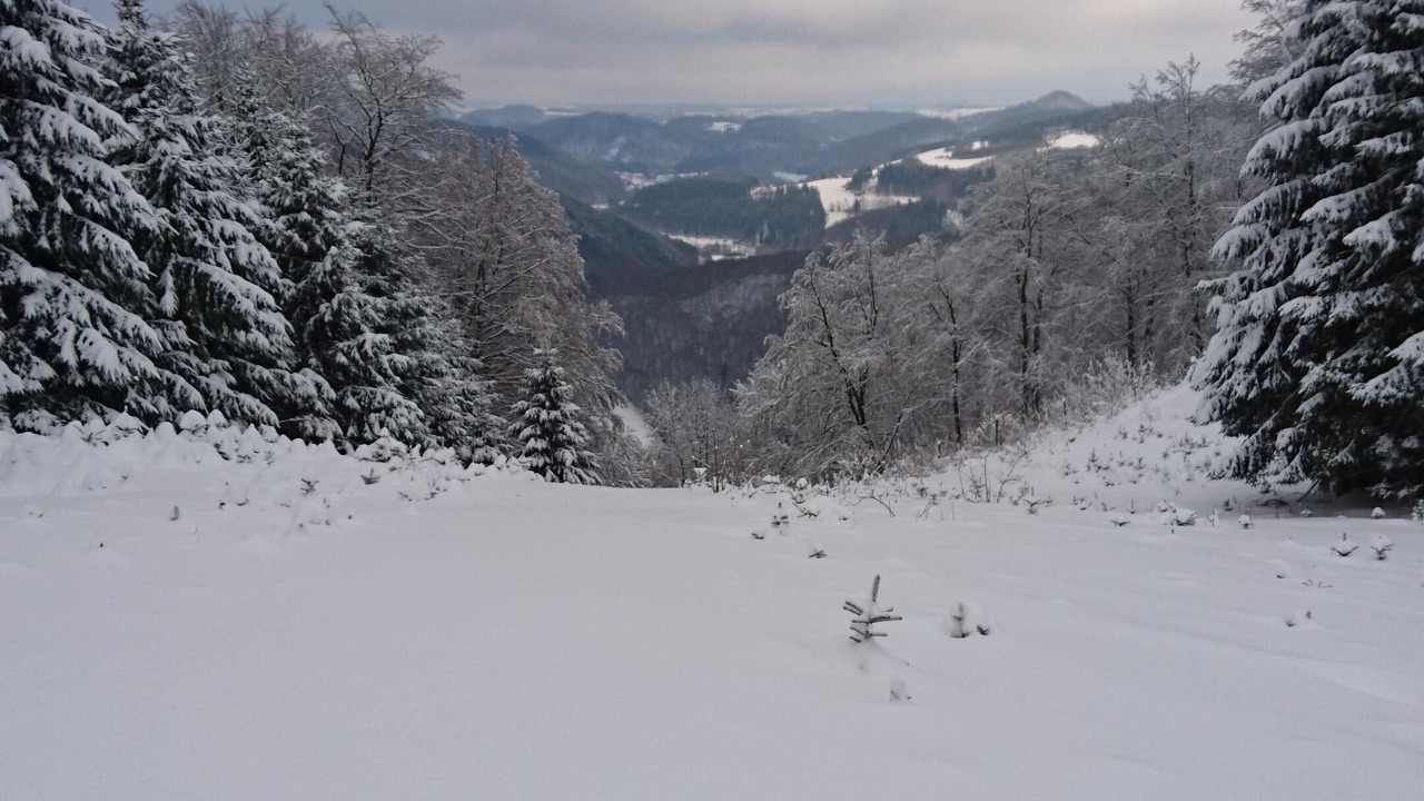 Photo of Others in Brilon