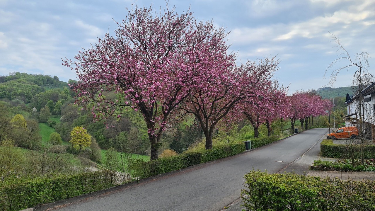 Photo of Outdoor in Brilon