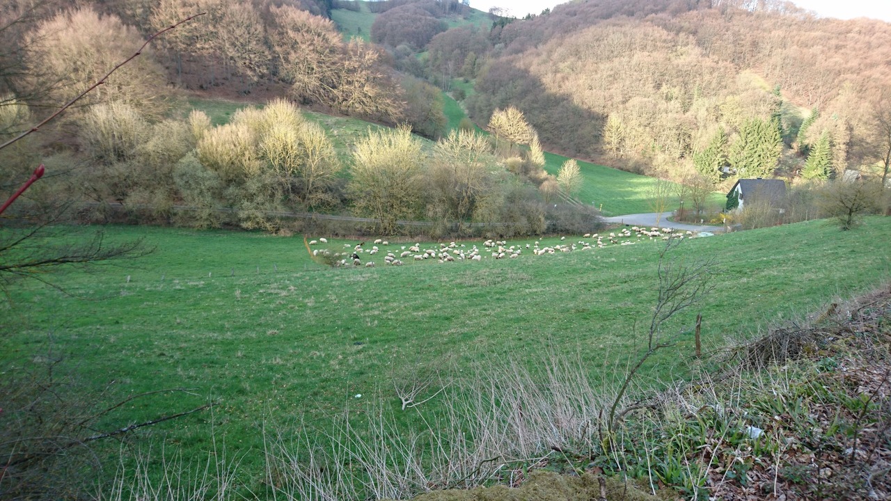 Photo of Outdoor in Brilon