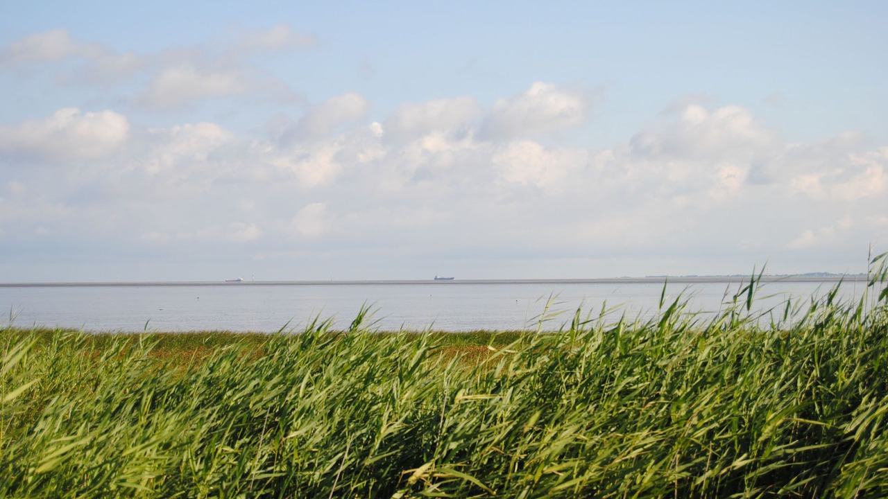 Photo of Others in Butjadingen