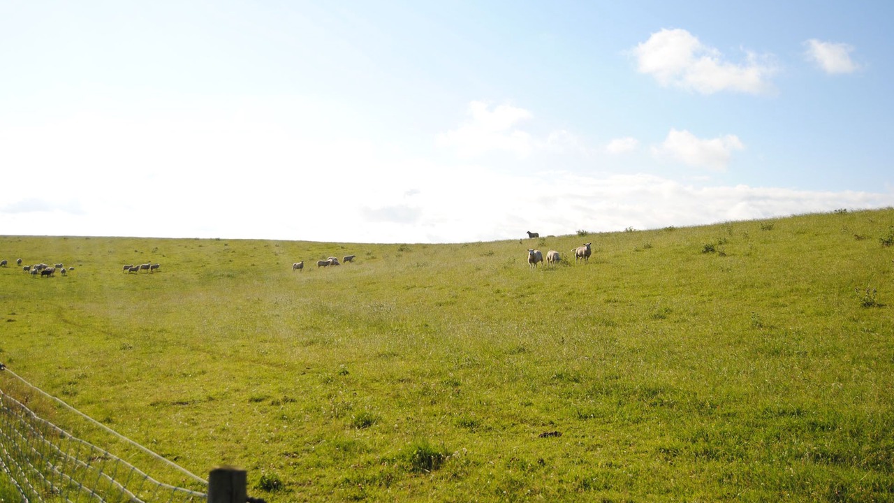 Photo of Outdoor in Butjadingen