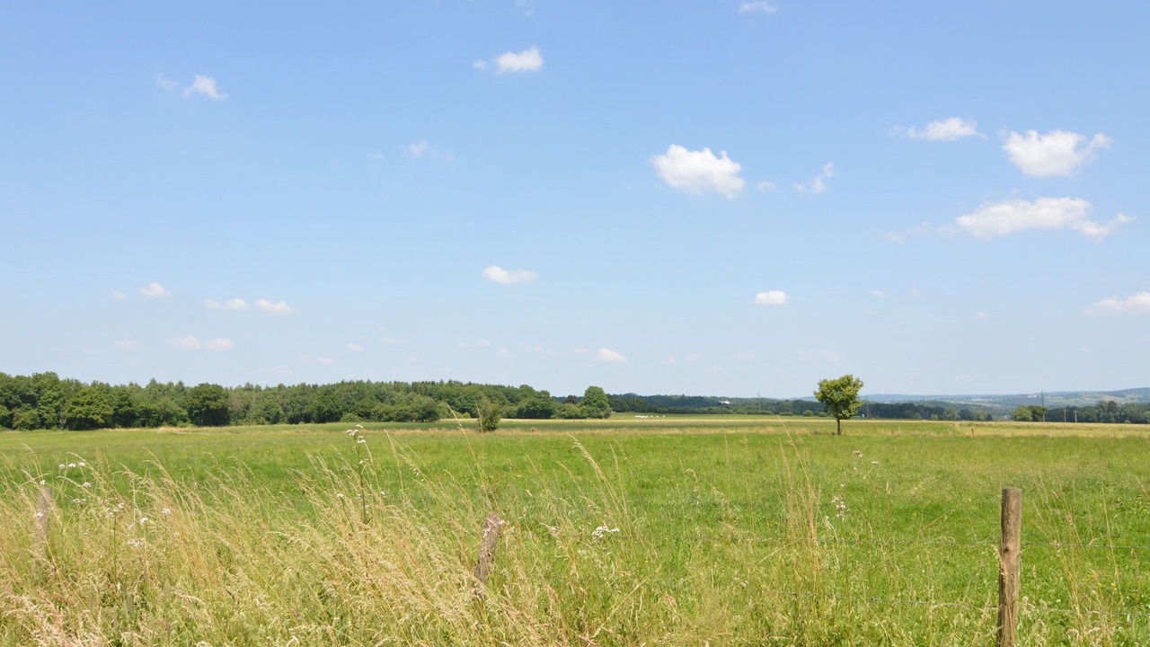 Photo of Others in Somme-Leuze