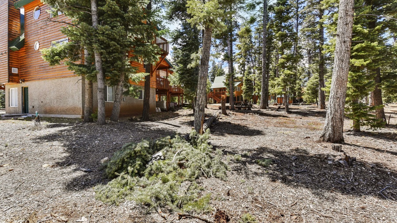 Photo of Others in Duck Creek Village