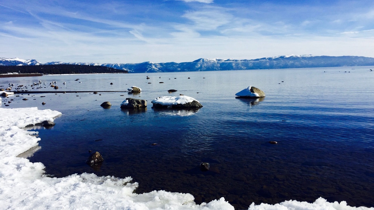 Photo of Others in Tahoe City