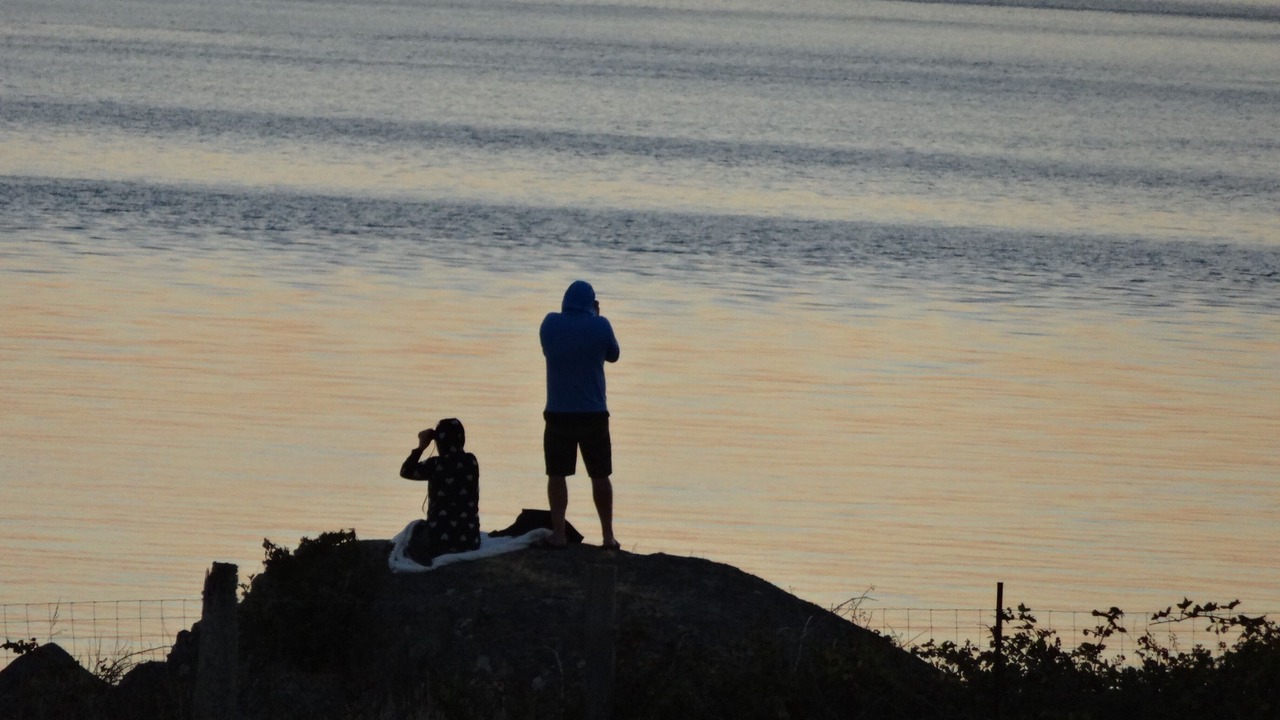Photo of Others in Friday Harbor