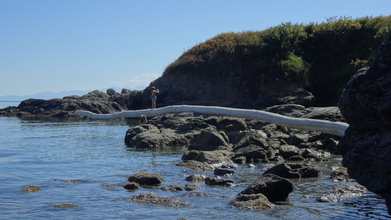 Photo of Others in Friday Harbor
