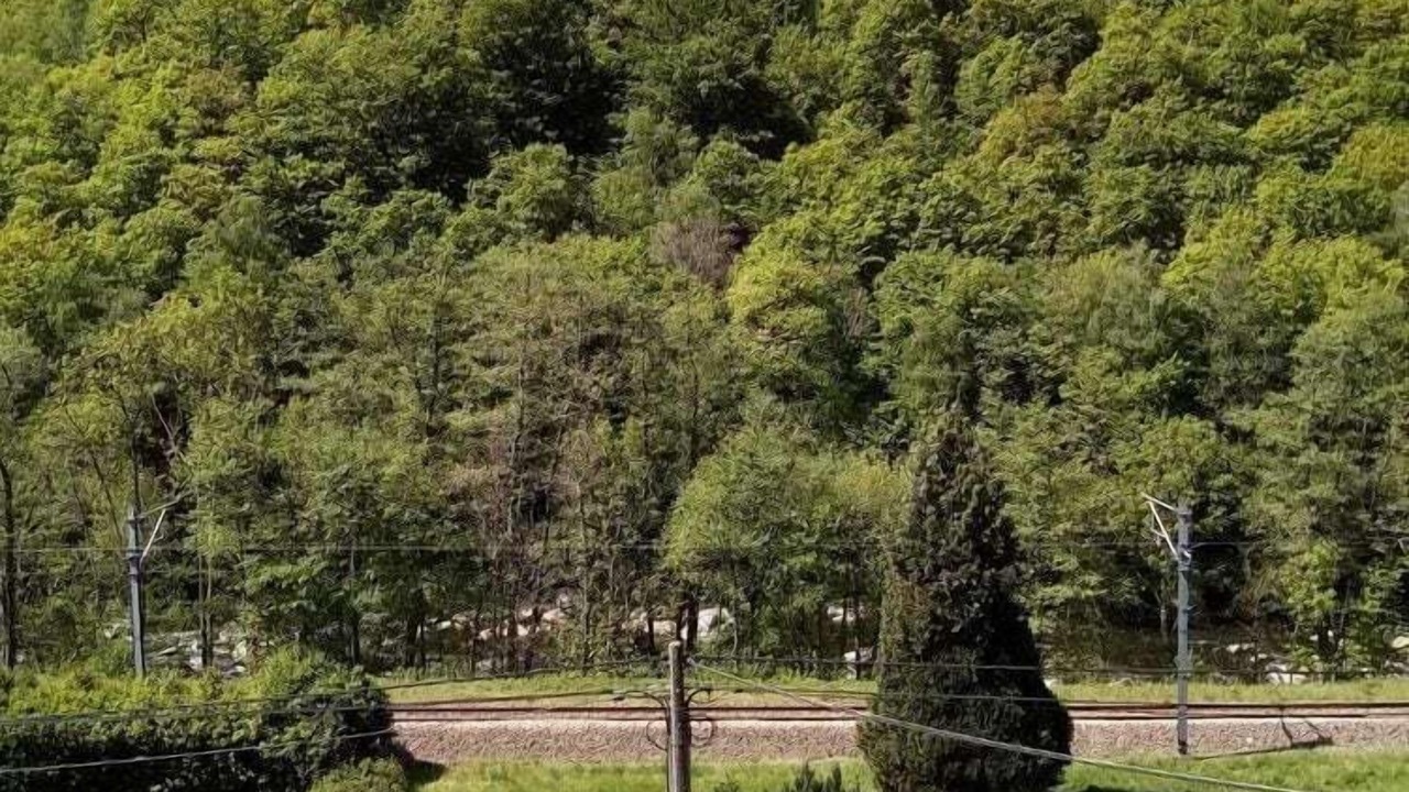 Photo of Outdoor in Aywaille