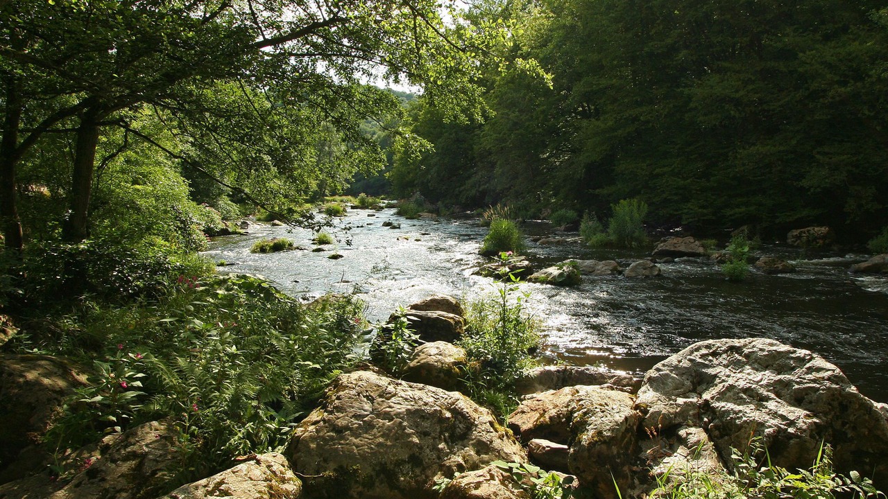 Photo of Others in Aywaille