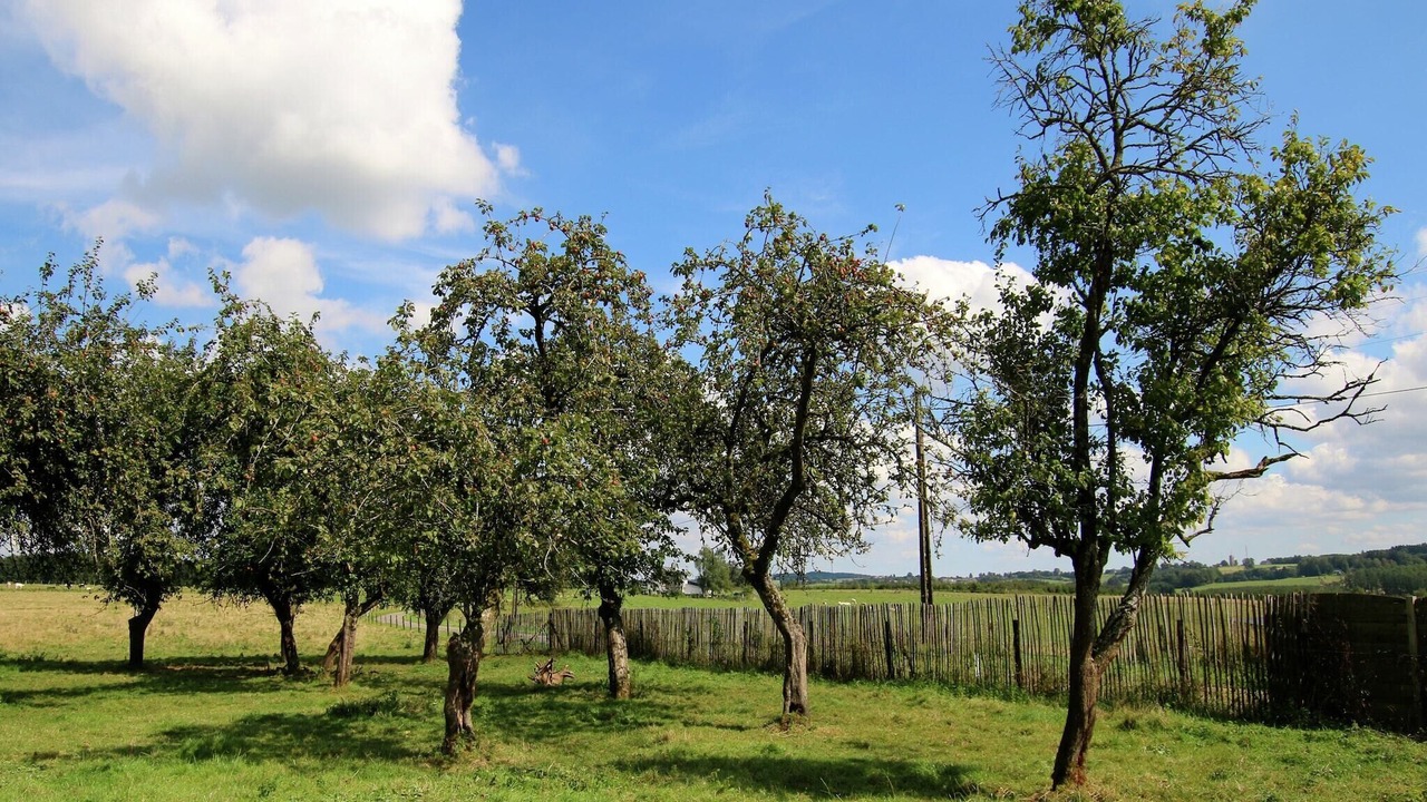 Photo of Outdoor in Neufchateau