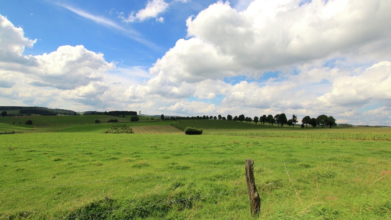 Photo of Others in Neufchateau