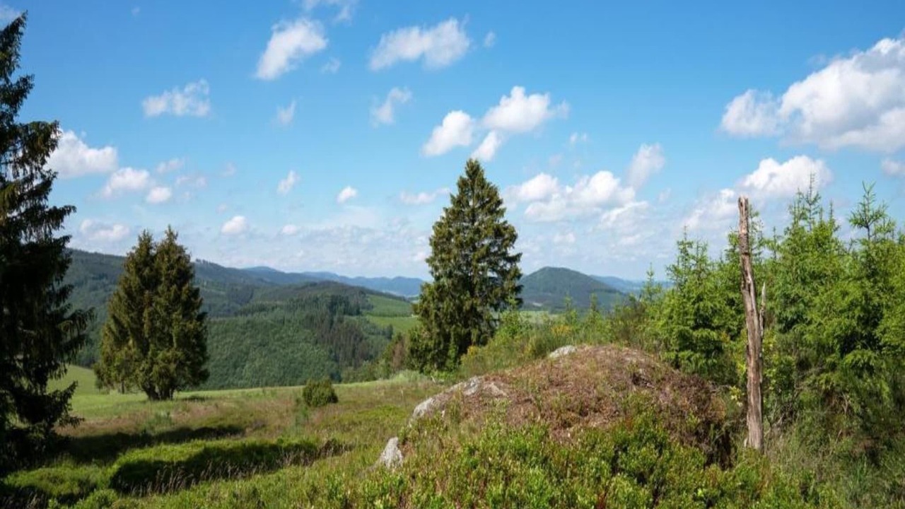 Photo of Others in Ortsmitte