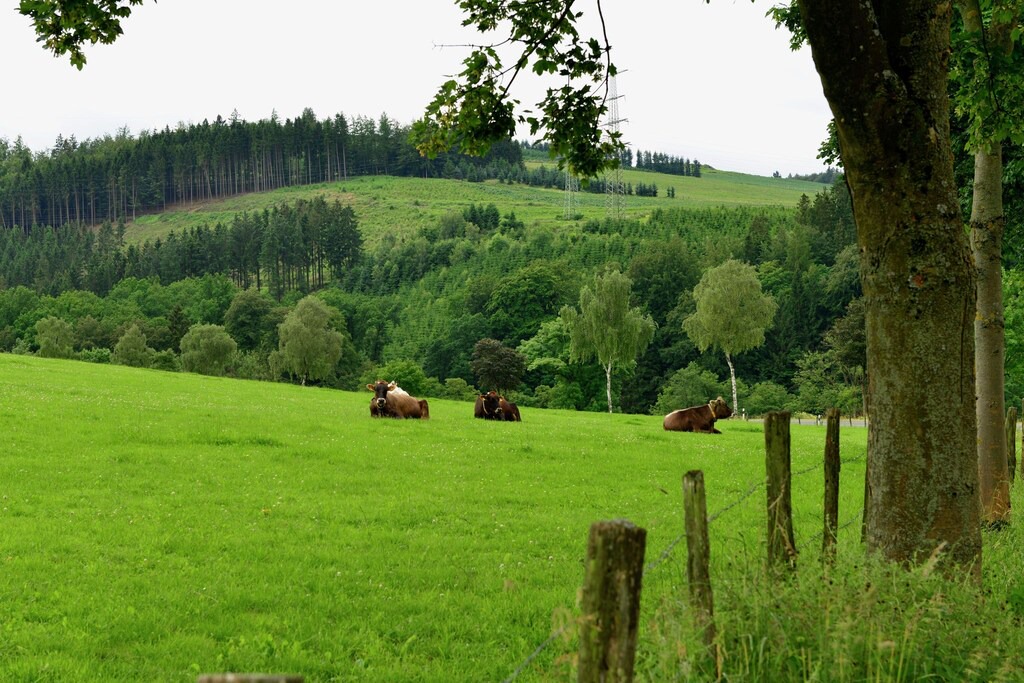 Photo of Others in Elpe