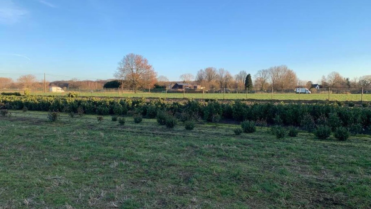Photo of Others in Nijlen