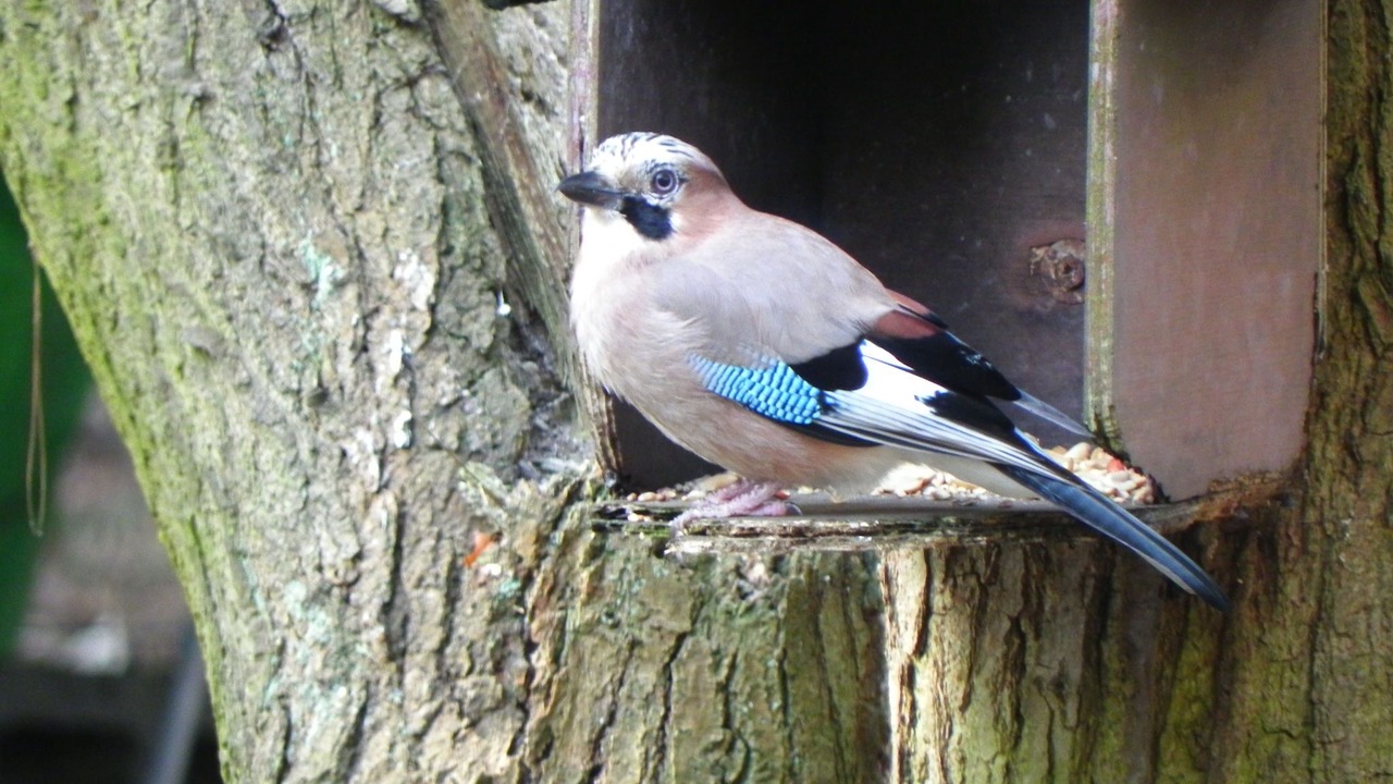 Photo of Outdoor in Nijlen