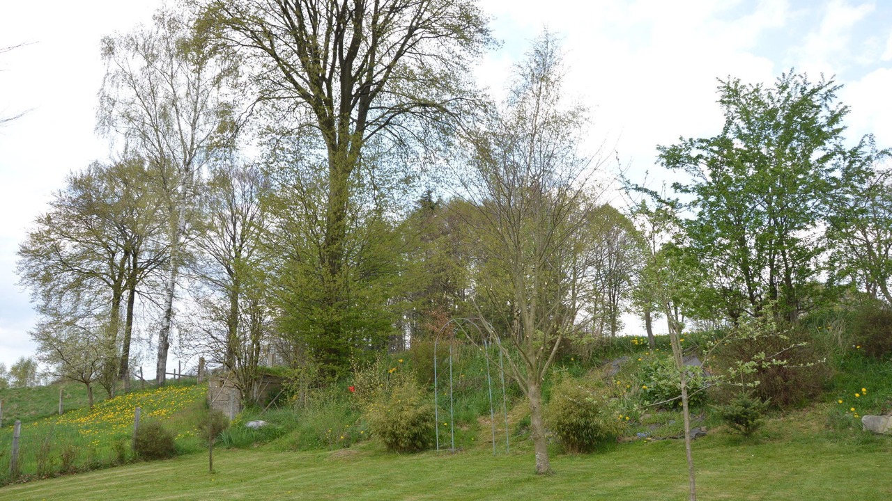 Photo of Outdoor in Faymonville