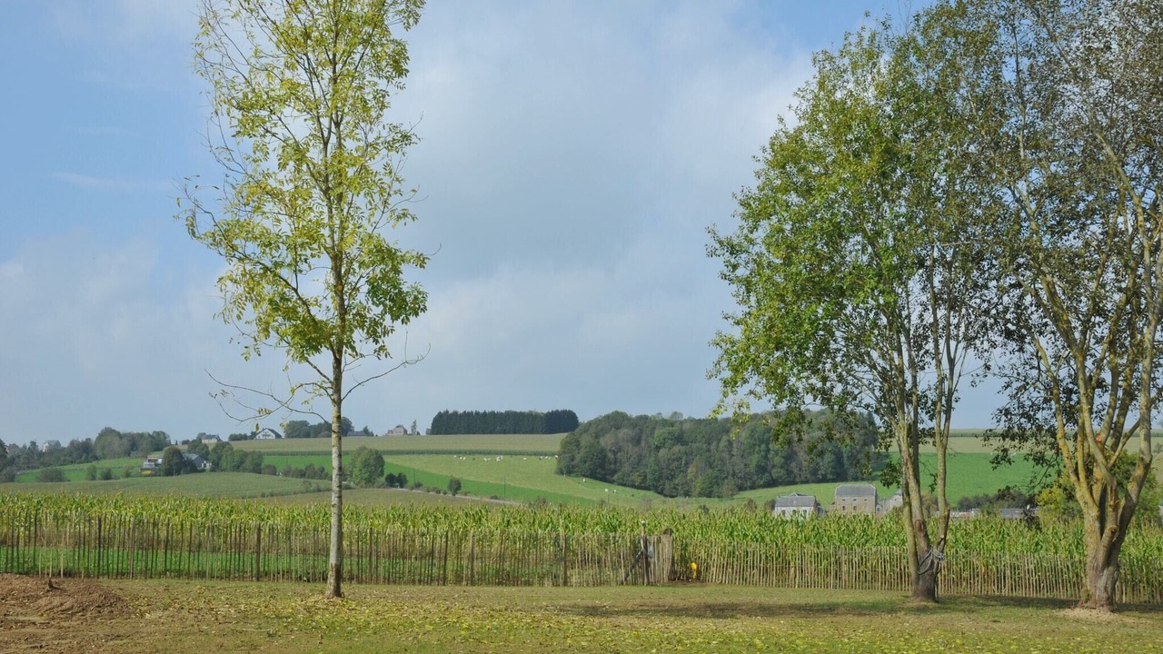 Photo of Others in Somme-Leuze