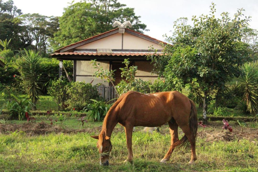 Photo of Others in Puertas Azules