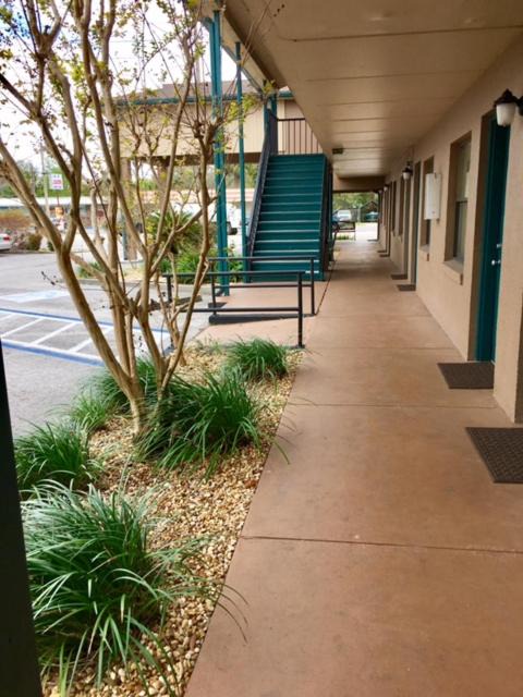 Photo of Others in Dunnellon
