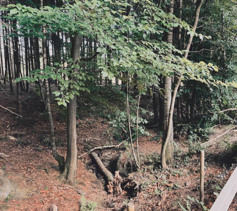 Photo of Others in Francorchamps