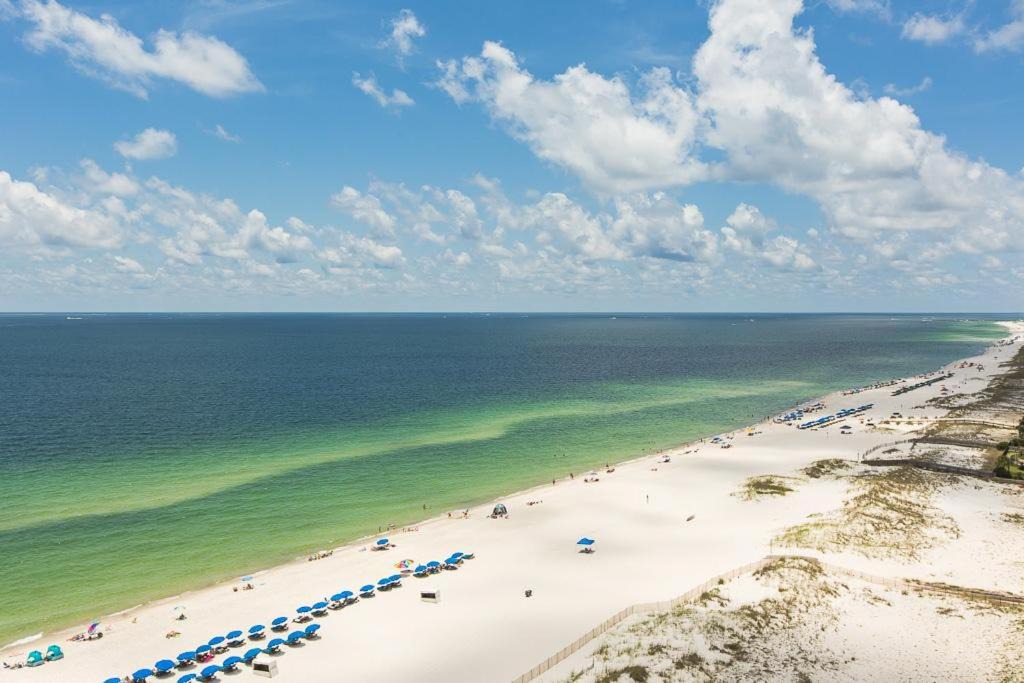 Photo of Others in Orange Beach East