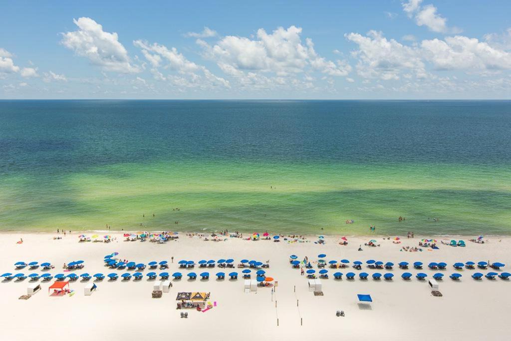 Photo of Others in Orange Beach East