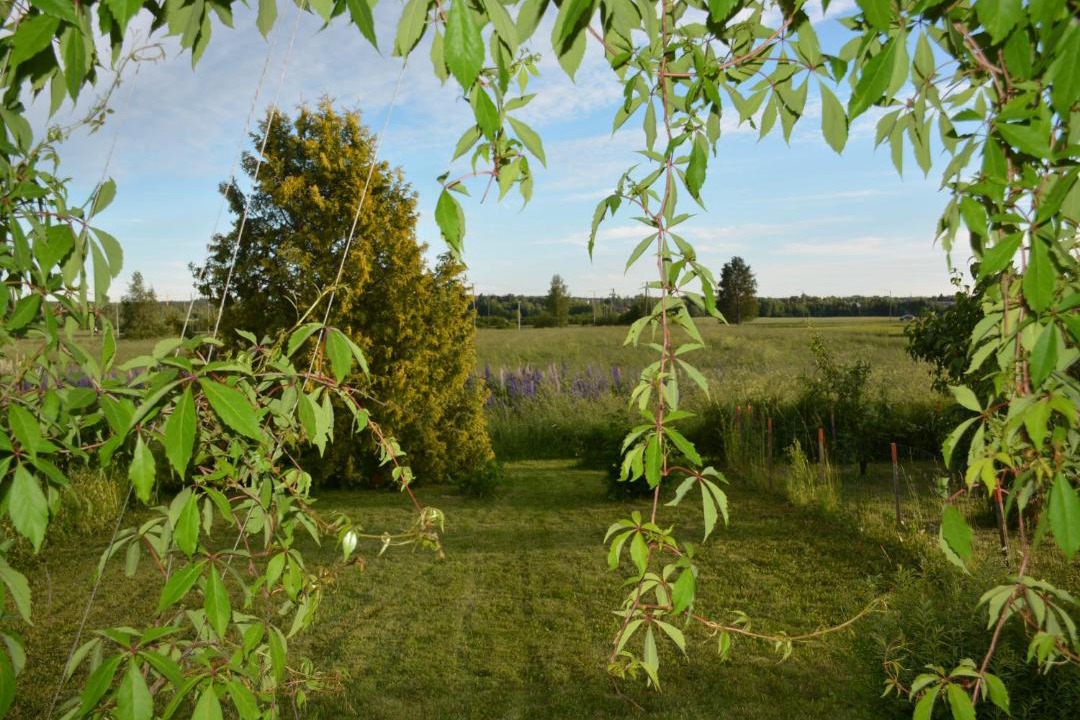 Photo of Outdoor in Forssa