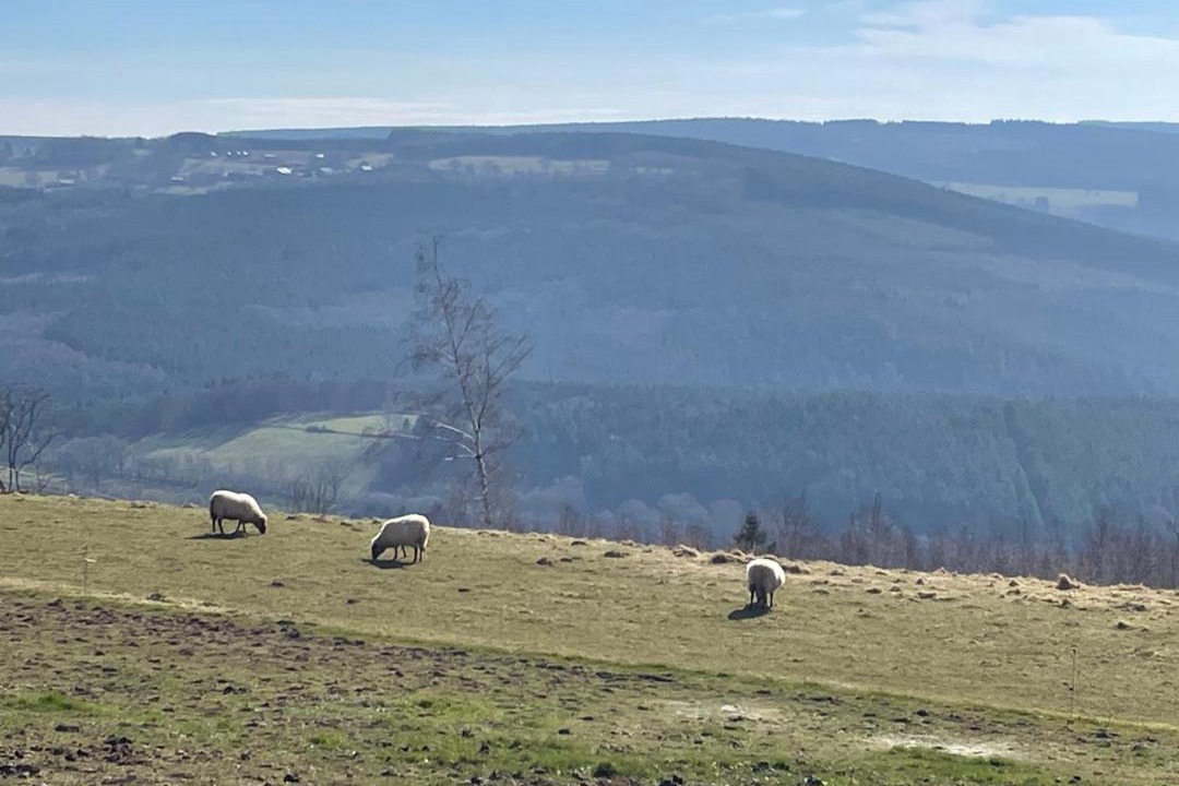 Photo of Others in Stavelot