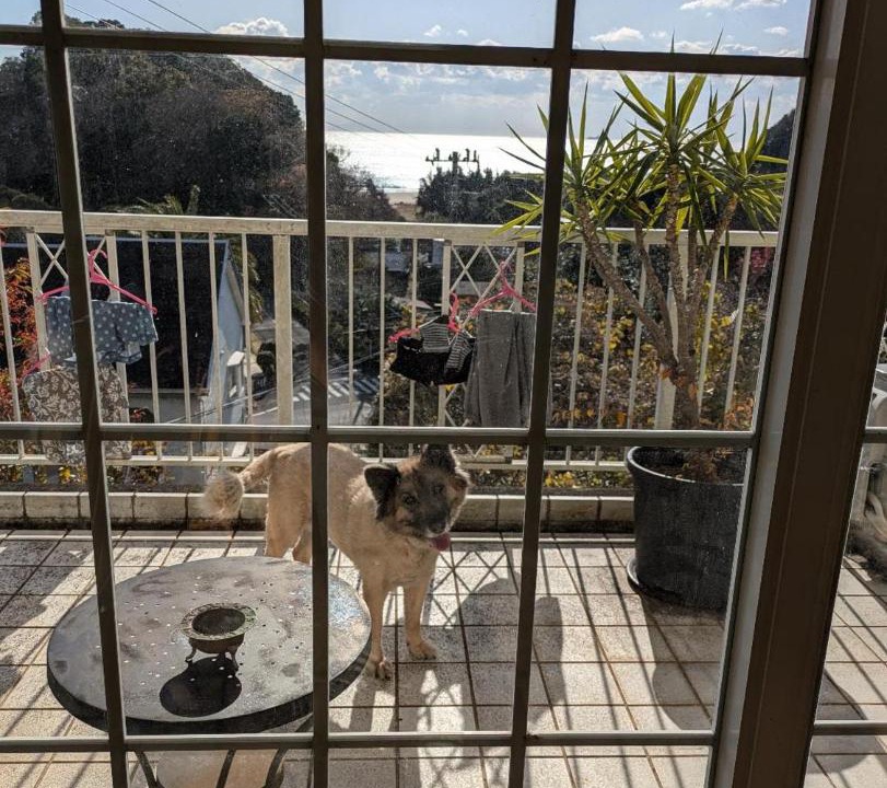 Photo of Patio Balcony in Kisami