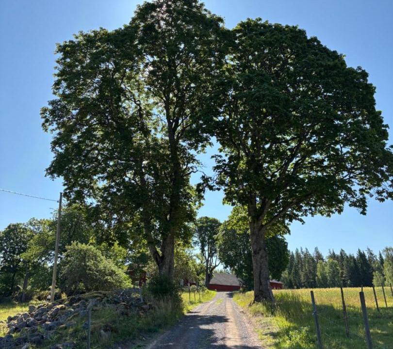 Photo of Others in Vimmerby