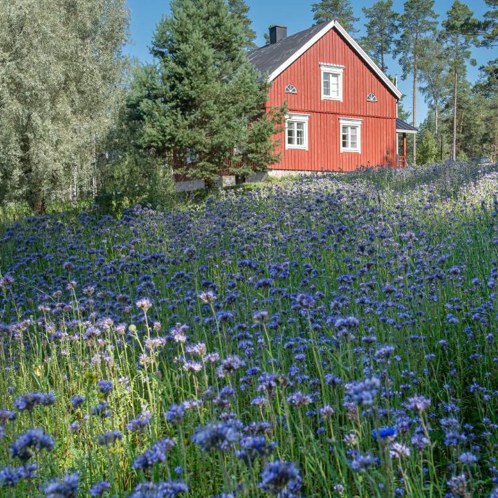 Photo of Others in Raseborg