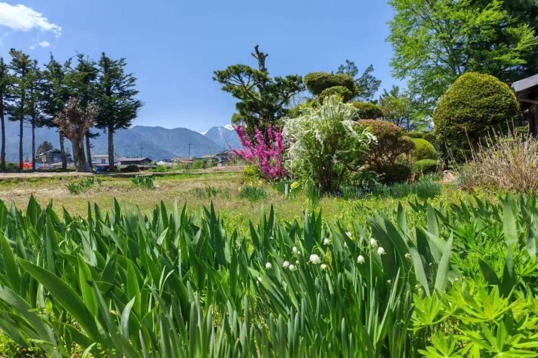 Photo of Outdoor in Omachi