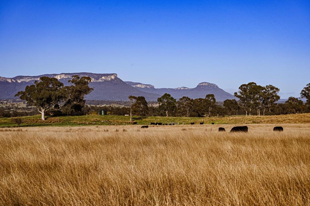 Photo of Others in Glen Alice