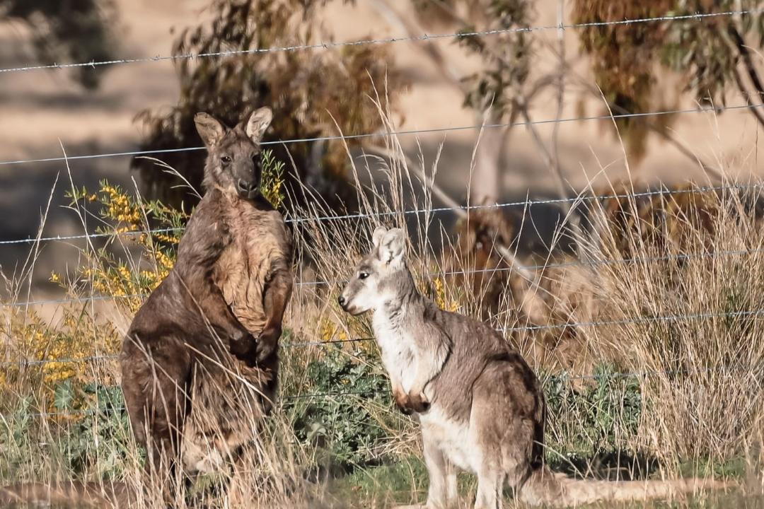 Photo of Others in Glen Alice