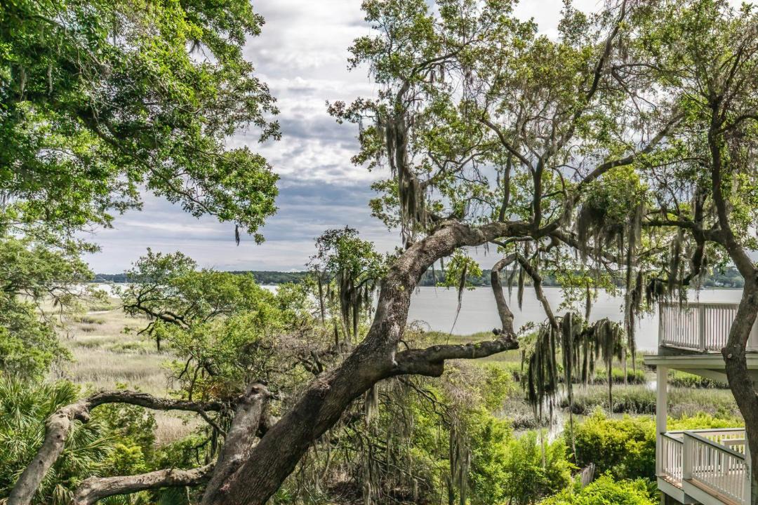 Photo of Others in Port Royal Landing