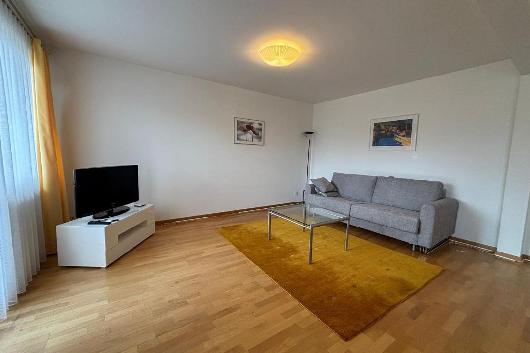 Photo of Livingroom in Muhlebach