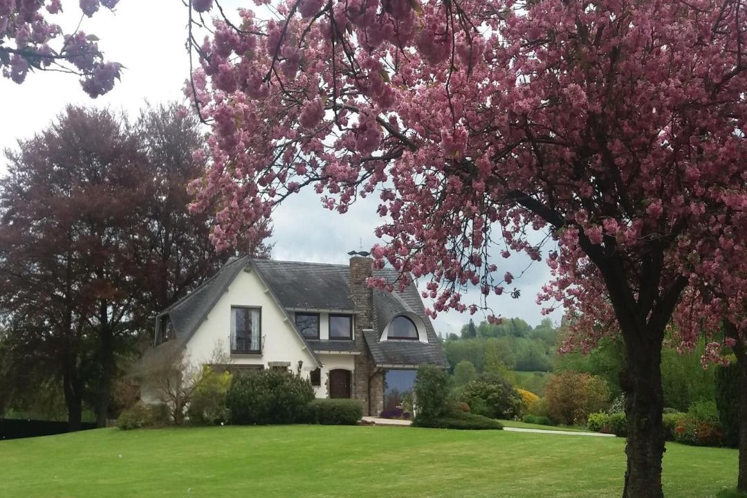 Photo of Others in Stavelot