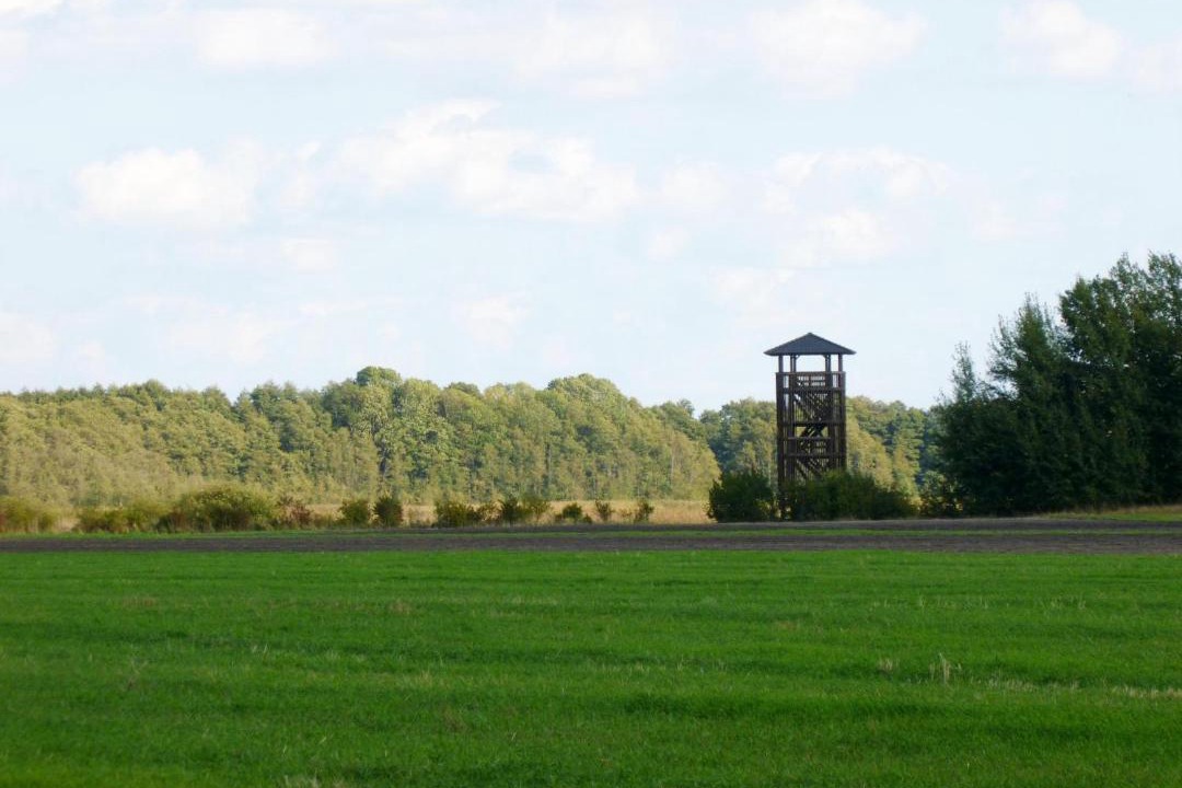 Photo of Others in Selchow